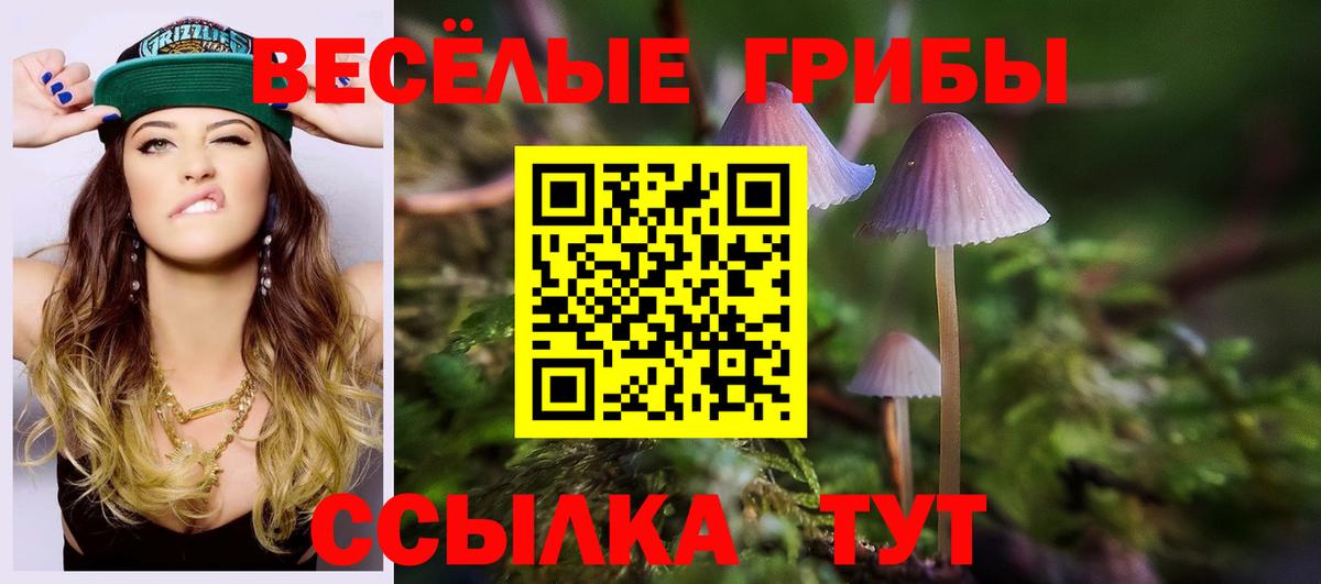 Великий Новгород  Галлюциногенные грибы мицелий  Вход с VPN 